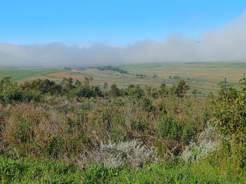 0 Bedroom Property for Sale in Middleton Western Cape